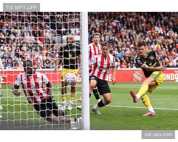 布伦特福德新球场盛大开幕，球迷热情庆祝新主场闪耀登场