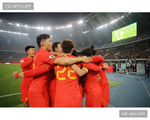 归化球员成欧洲杯预选赛新亮点，助力球队状态回暖引关注