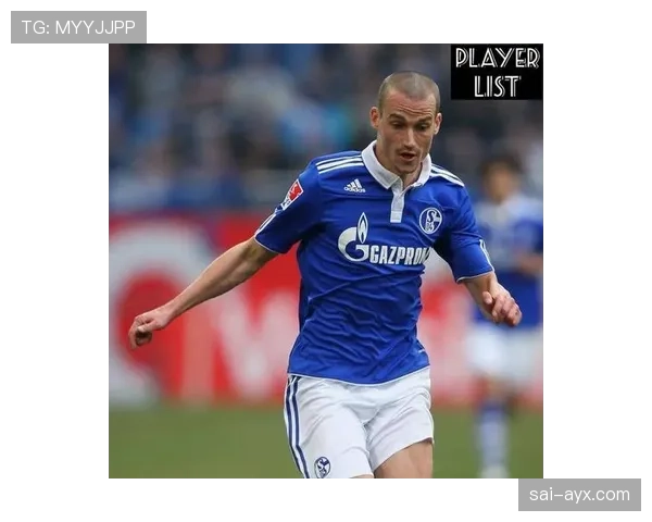 沙尔克04新赛季阵容深度解析：实力与潜力的完美融合